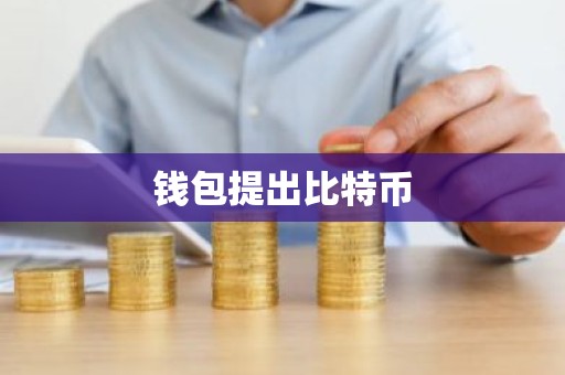钱包提出比特币