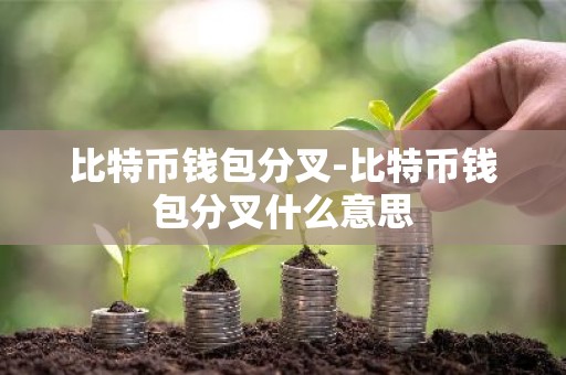 比特币钱包分叉-比特币钱包分叉什么意思