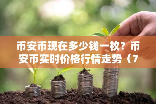 币安币现在多少钱一枚？币安币实时价格行情走势（7月19日）