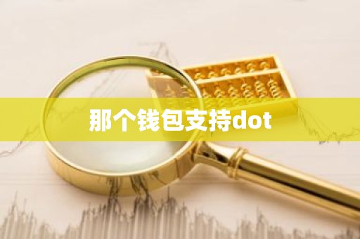 那个钱包支持dot