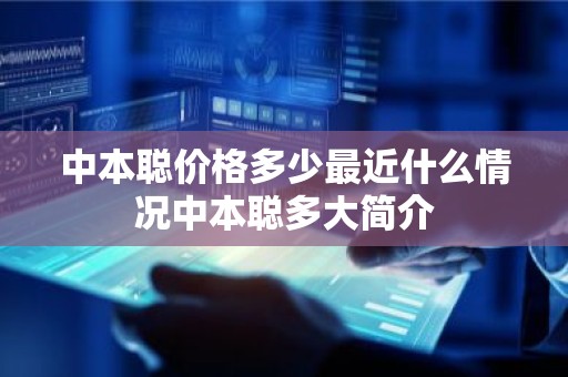 中本聪价格多少最近什么情况中本聪多大简介