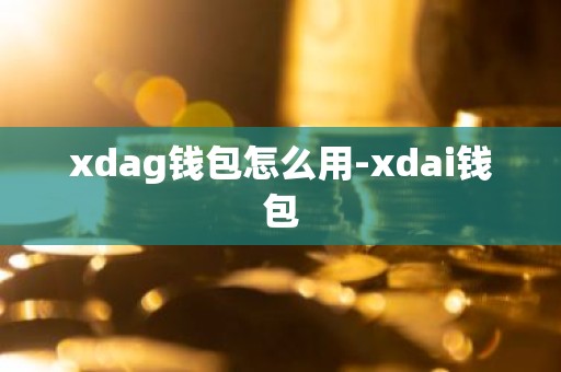 xdag钱包怎么用-xdai钱包