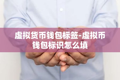 虚拟货币钱包标签-虚拟币钱包标识怎么填