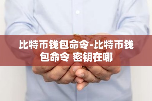 比特币钱包命令-比特币钱包命令 密钥在哪