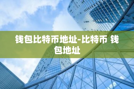 钱包比特币地址-比特币 钱包地址