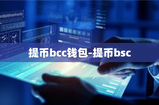 提币bcc钱包-提币bsc