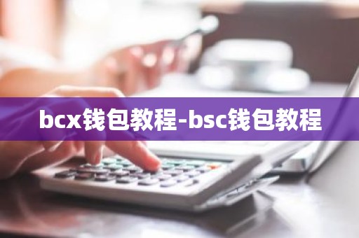bcx钱包教程-bsc钱包教程