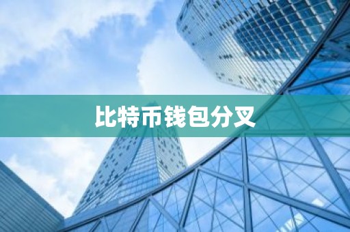 比特币钱包分叉