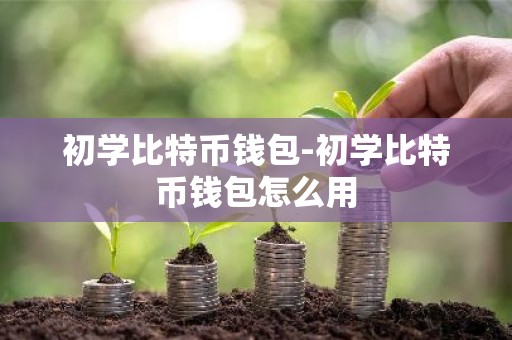 初学比特币钱包-初学比特币钱包怎么用