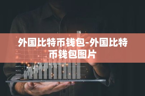 外国比特币钱包-外国比特币钱包图片