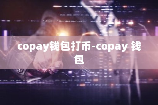 copay钱包打币-copay 钱包