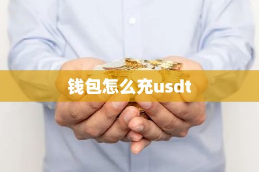 钱包怎么充usdt