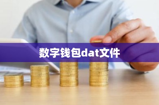 数字钱包dat文件