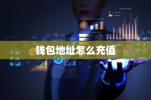 钱包地址怎么充值