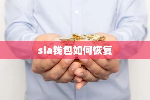 sia钱包如何恢复