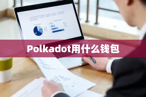 Polkadot用什么钱包