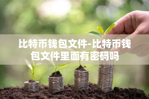 比特币钱包文件-比特币钱包文件里面有密码吗