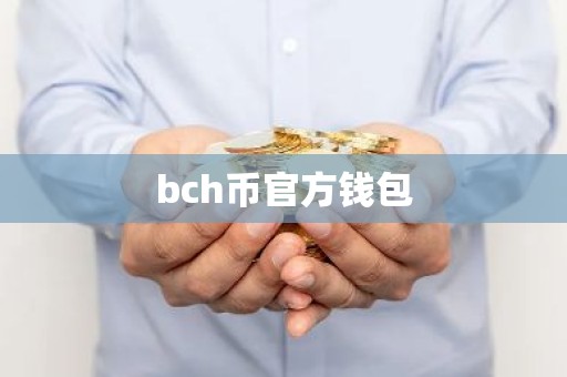bch币官方钱包