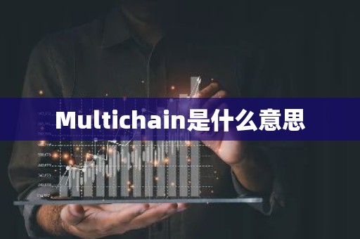 Multichain是什么意思