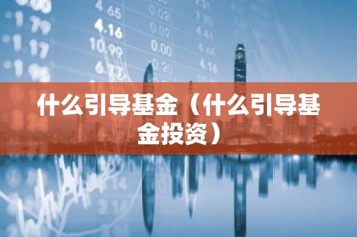 什么引导基金（什么引导基金投资）