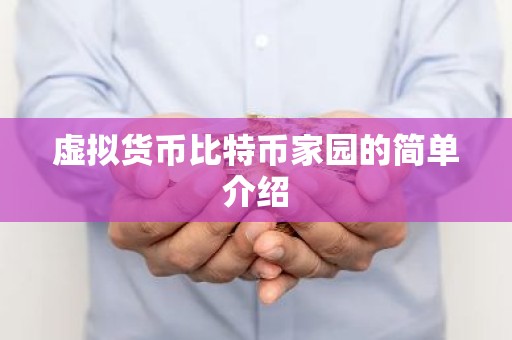 虚拟货币比特币家园的简单介绍