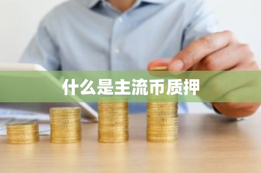 什么是主流币质押