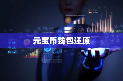 元宝币钱包还原