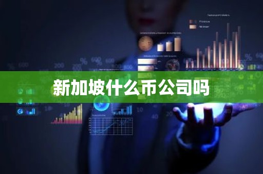 新加坡什么币公司吗