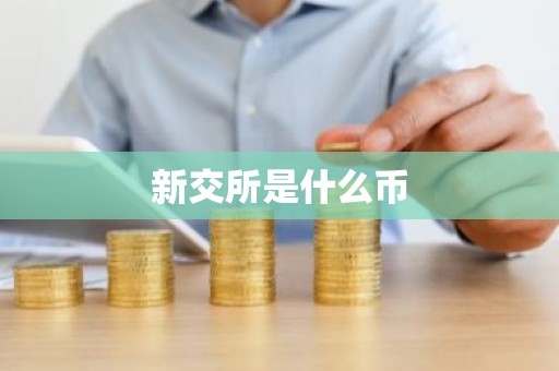 新交所是什么币