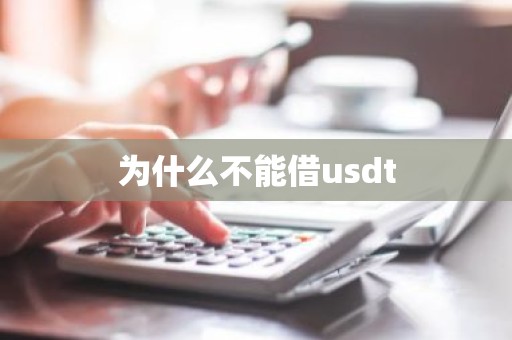 为什么不能借usdt