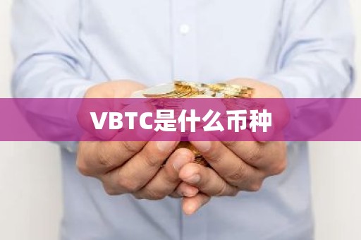 VBTC是什么币种