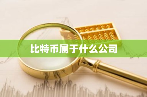 比特币属于什么公司