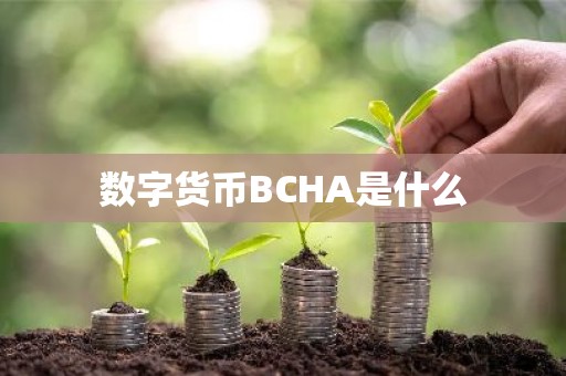 数字货币BCHA是什么