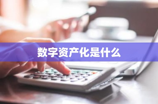 数字资产化是什么