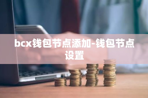 bcx钱包节点添加-钱包节点设置