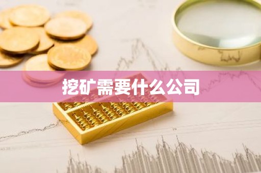 挖矿需要什么公司