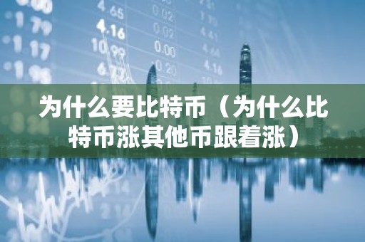 为什么要比特币（为什么比特币涨其他币跟着涨）