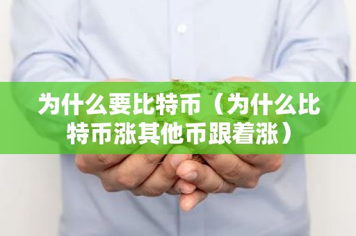 为什么要比特币（为什么比特币涨其他币跟着涨）