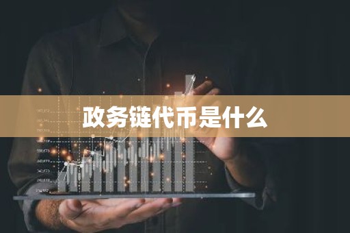 政务链代币是什么