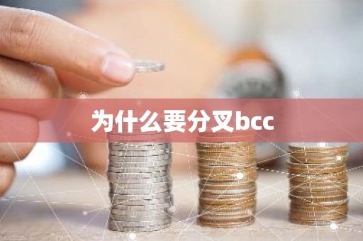 为什么要分叉bcc