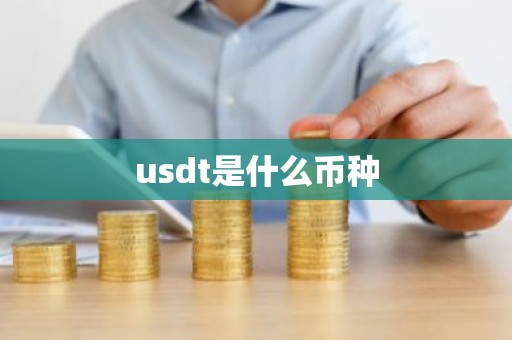 usdt是什么币种