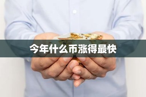 今年什么币涨得最快