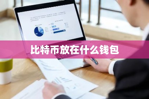 比特币放在什么钱包