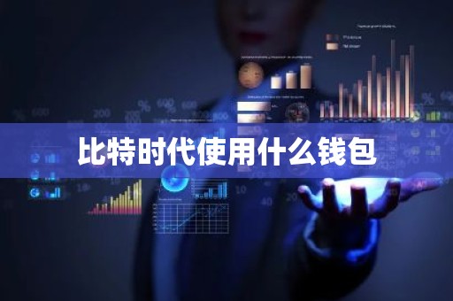 比特时代使用什么钱包