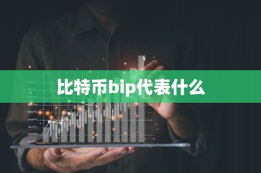 比特币bip代表什么