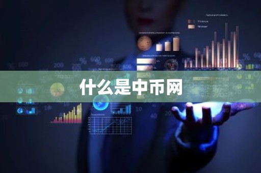 什么是中币网