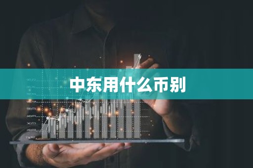 中东用什么币别