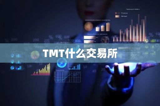 TMT什么交易所