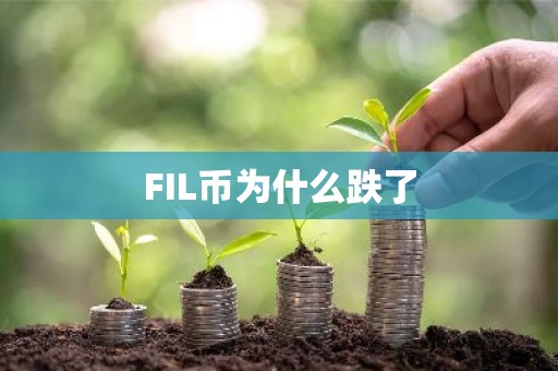 FIL币为什么跌了