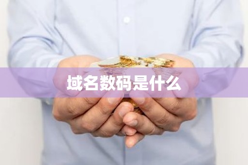 域名数码是什么